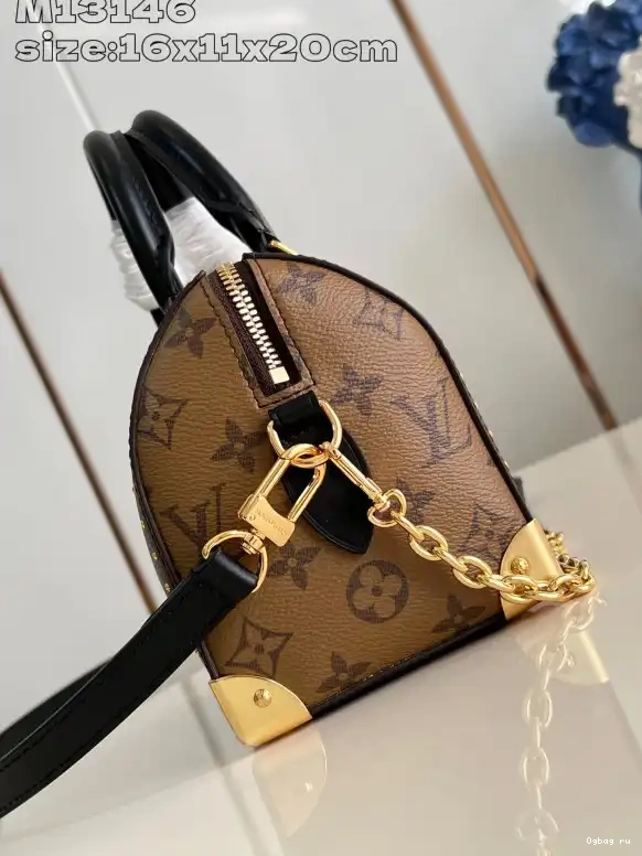 Trunk Speedy Vuitton Louis 20 0404